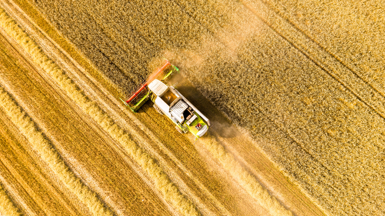 Cómo garantizar la eficiencia de maquinaria agrícola con un buen mantenimiento | Pau Cano